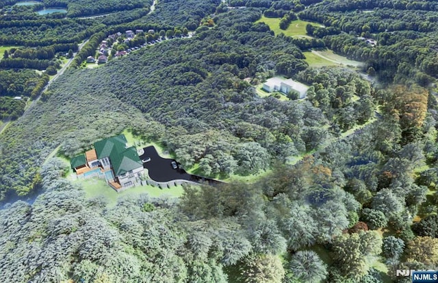 544 Union Hill Rd, Marlboro, NJ 07726 - aerial overview of property's location featuring a forest