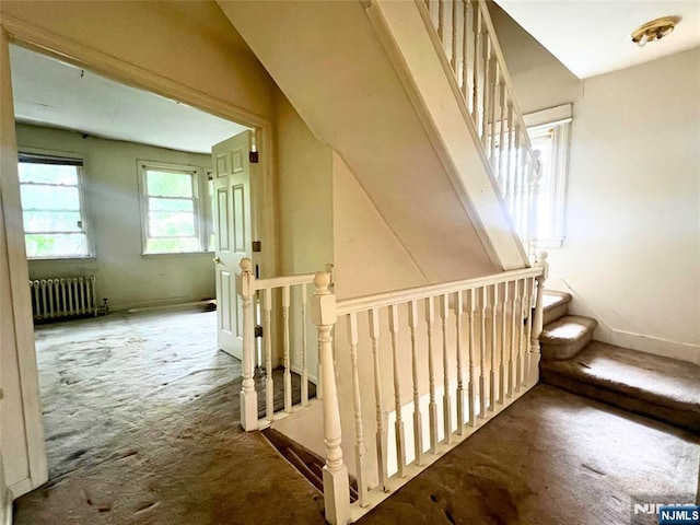 22 Clark St, Glen Ridge, NJ 07028 - stairs featuring radiator heating unit, baseboards, and carpet