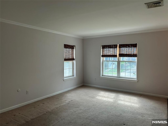 346 Maple Unit 3, Oradell, NJ 07649 - spare room with plenty of natural light, ornamental molding, and carpet floors