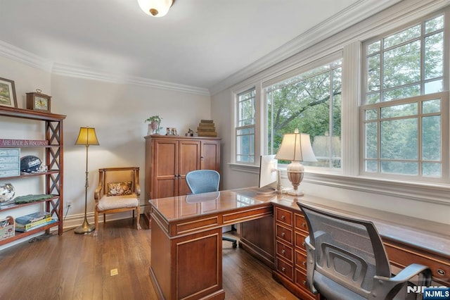 193 S Franklin Tpke, Ramsey, NJ 07446 - office area featuring dark wood-style flooring, ornamental molding, and baseboards