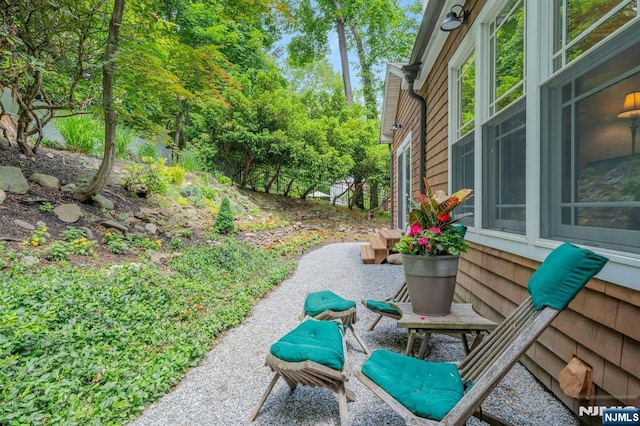 193 S Franklin Tpke, Ramsey, NJ 07446 - view of patio