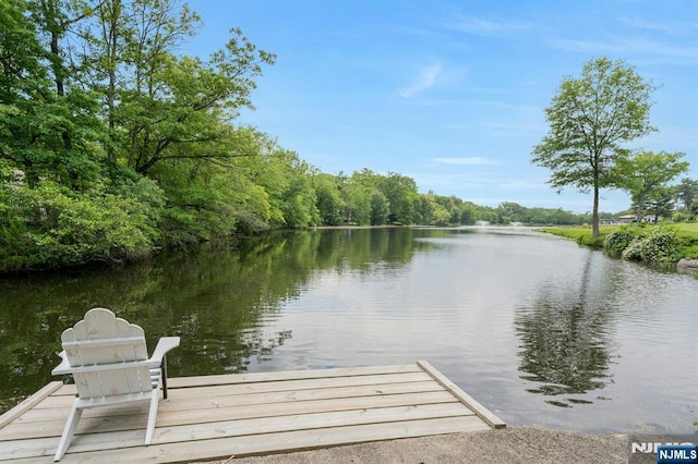 193 S Franklin Tpke, Ramsey, NJ 07446 - dock area with a water view