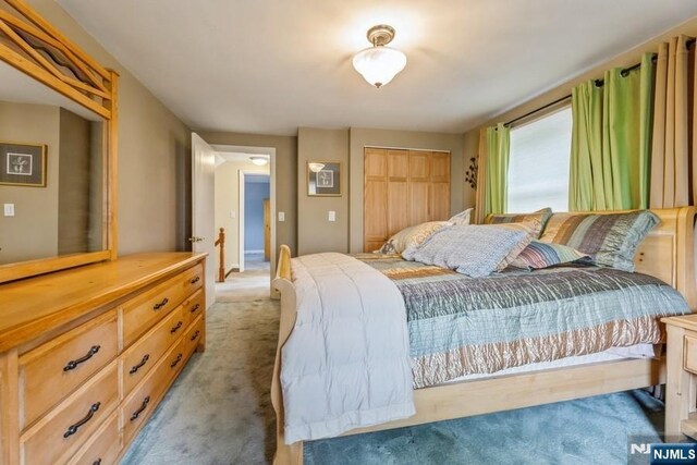 277 Jefferson Ave, Cresskill, NJ 07626 - carpeted bedroom with a closet