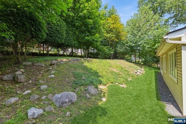277 Jefferson Ave, Cresskill, NJ 07626 - view of green lawn