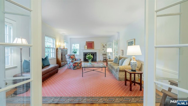 466 Park St, Montclair, NJ 07043 - living area featuring a fireplace, ornamental molding, and carpet flooring