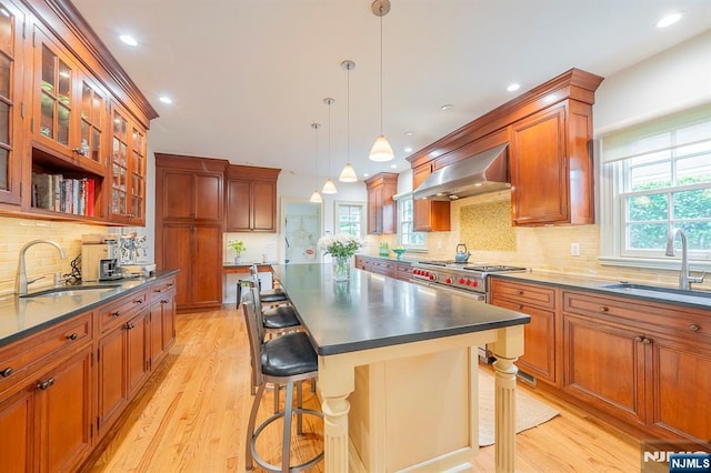 466 Park St, Montclair, NJ 07043 - kitchen with a sink, ventilation hood, dark countertops, light wood-type flooring, and recessed lighting