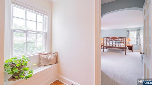 466 Park St, Montclair, NJ 07043 - hallway with plenty of natural light, light carpet, arched walkways, and baseboards