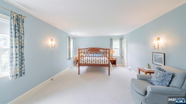 466 Park St, Montclair, NJ 07043 - bedroom featuring carpet floors and baseboards