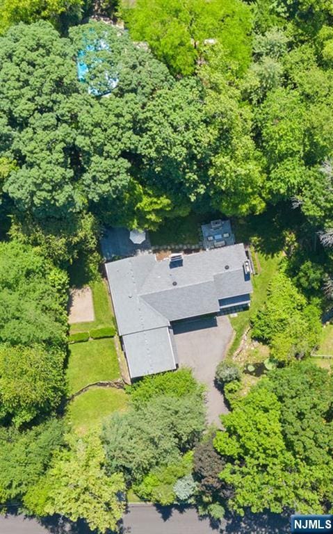 56 Knoll Rd, Tenafly, NJ 07670 - drone / aerial view