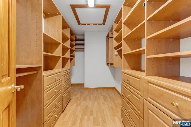 11 Hillcrest Blvd, Warren, NJ 07059 - walk in closet featuring light wood-type flooring