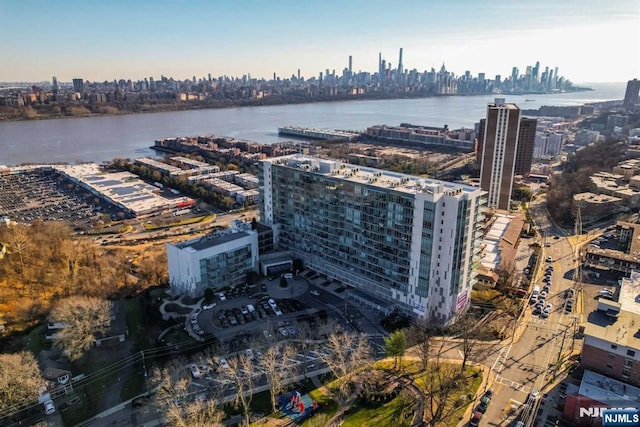 320 Adolphus Ave Unit 317, Cliffside Park, NJ 07010 - drone / aerial view of city skyline and a large body of water