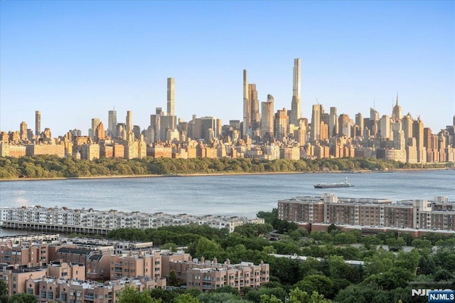 320 Adolphus Ave Unit 317, Cliffside Park, NJ 07010 - view of city skyline with a nearby body of water