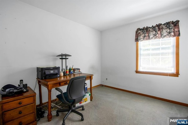 42 Lohs Pl, Harrington Park, NJ 07640 - office space featuring carpet flooring and baseboards