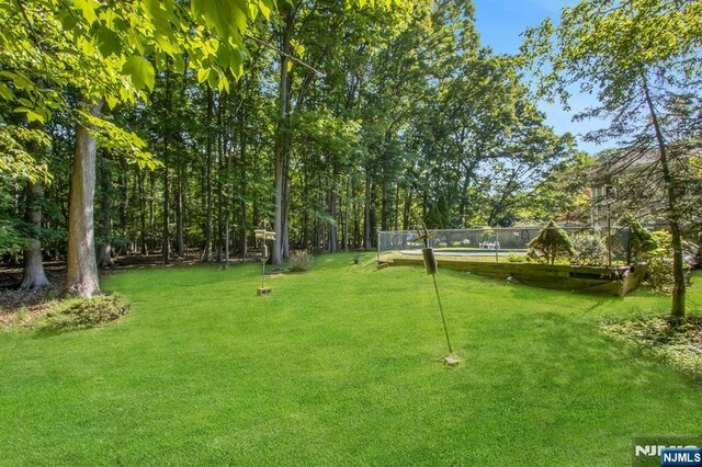 42 Lohs Pl, Harrington Park, NJ 07640 - view of yard
