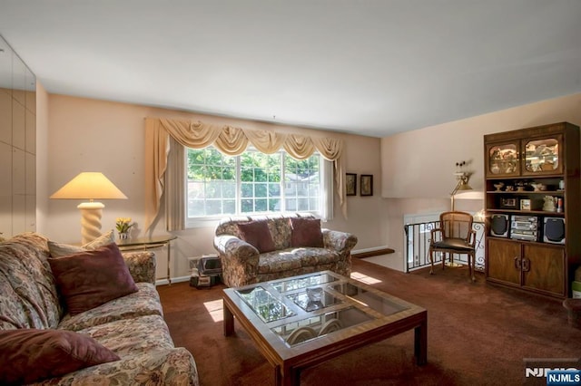 42 Lohs Pl, Harrington Park, NJ 07640 - view of carpeted living area