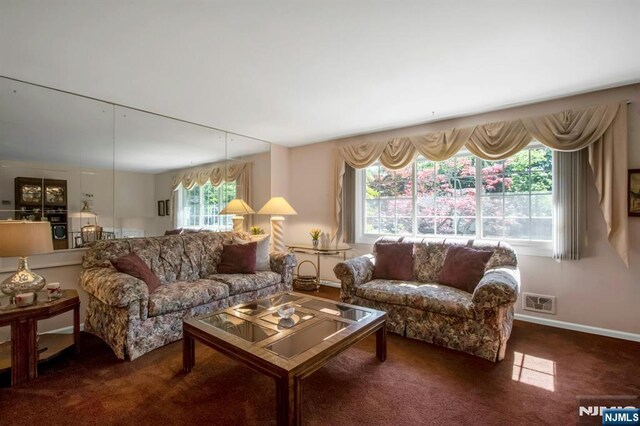 42 Lohs Pl, Harrington Park, NJ 07640 - carpeted living room with baseboards