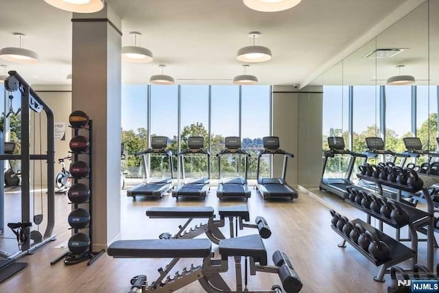 320 Adolphus Ave Unit 1115, Cliffside Park, NJ 07010 - gym with expansive windows and wood finished floors