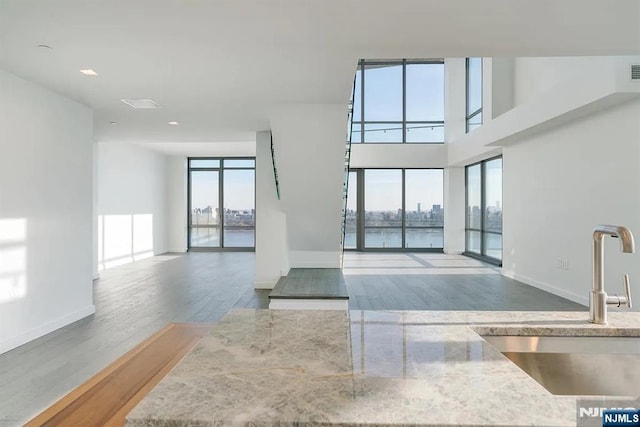 320 Adolphus Ave Unit 1115, Cliffside Park, NJ 07010 - unfurnished room with a sink, healthy amount of natural light, a water view, and wood finished floors
