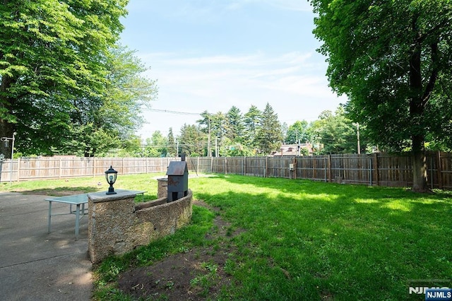 3 High St, Closter, NJ 07624 - fenced backyard with a patio area