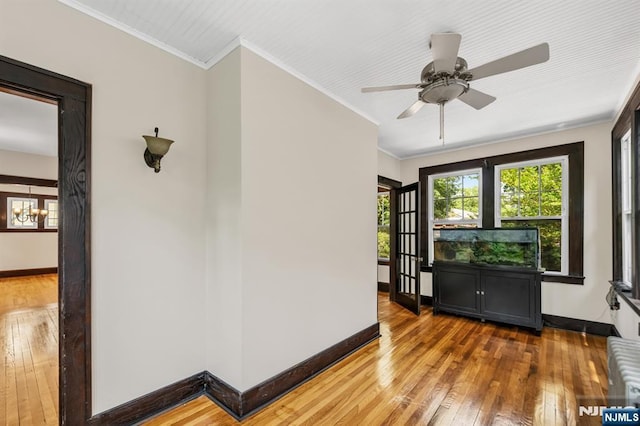 67 Woodland Rd, Bloomfield, NJ 07003 - view of unfurnished sunroom