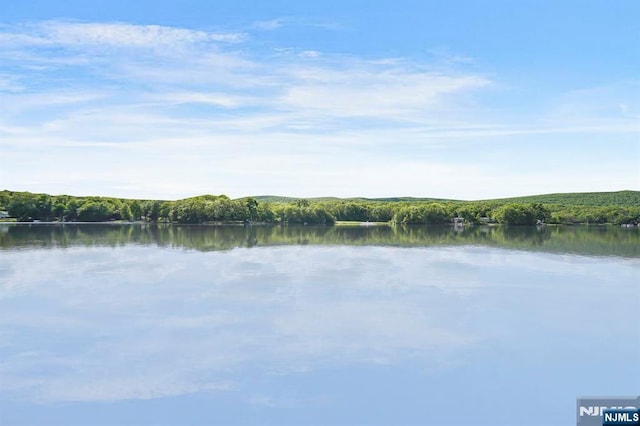 40 Shore Dr, Newton, NJ 07860 - water view featuring a forest