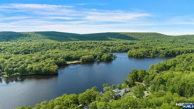 40 Shore Dr, Newton, NJ 07860 - drone / aerial view of a forest and a water and mountain view