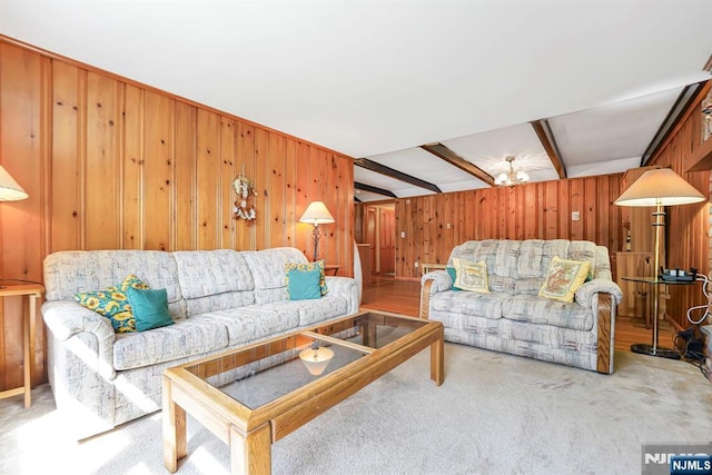40 Shore Dr, Newton, NJ 07860 - living room with wooden walls and carpet flooring