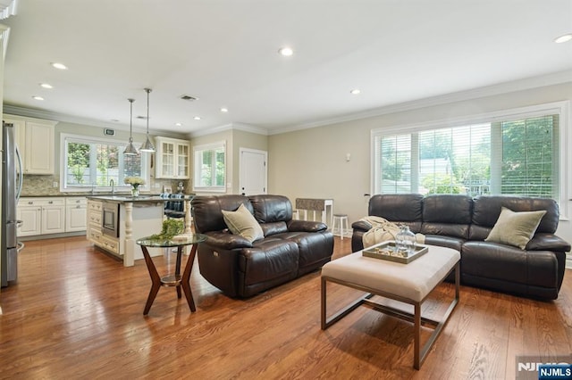 19 Grandview Ave, Glen Rock, NJ 07452 - living room with wood finished floors, crown molding, and recessed lighting