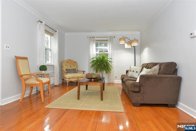 408 Eton Ct, Ridgewood, NJ 07450 - living room featuring plenty of natural light, light wood-type flooring, crown molding, and radiator heating unit