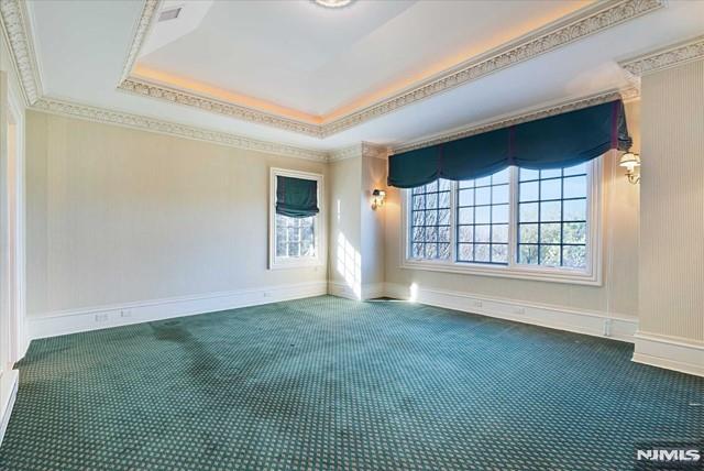 11 Margo Way, Alpine, NJ 07620 - unfurnished room with carpet, ornamental molding, and a raised ceiling