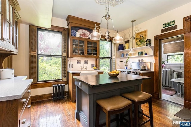 33 Ramapo Ave, Pompton Lakes, NJ 07442 - kitchen featuring a sink, dark wood-type flooring, radiator heating unit, glass insert cabinets, and open shelves