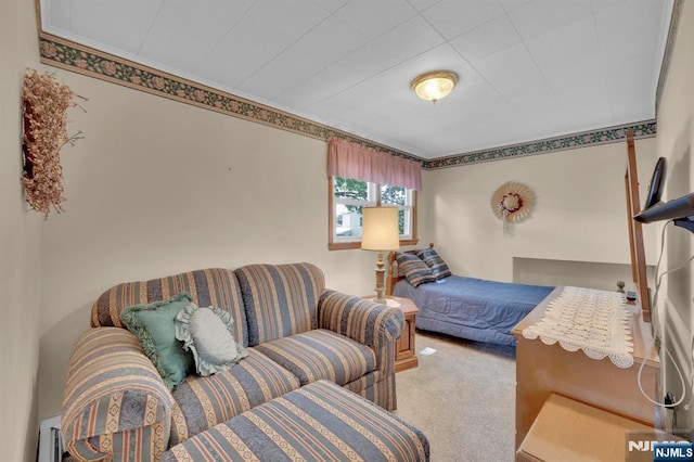 13 Wonham St, Clifton, NJ 07013 - bedroom with carpet floors and ornamental molding