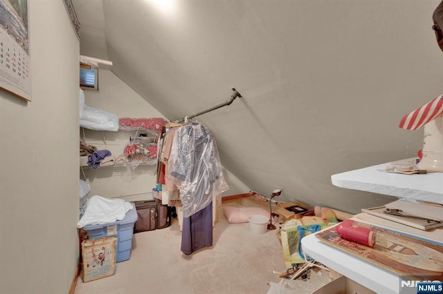 13 Wonham St, Clifton, NJ 07013 - walk in closet featuring vaulted ceiling and carpet