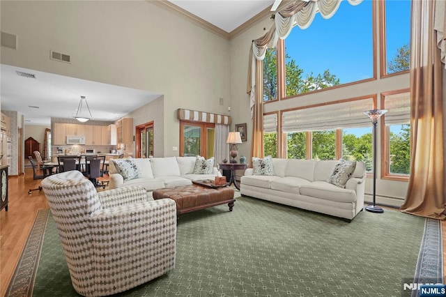 12 Woodland Ct, Wayne, NJ 07470 - living room with a towering ceiling, baseboard heating, wood finished floors, and ornamental molding