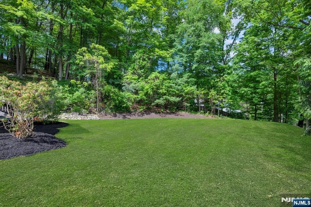1582 Grnwd Lk, West Milford, NJ 07421 - view of green lawn