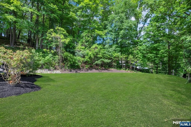 1582 Grnwd Lk, West Milford, NJ 07421 - view of green lawn