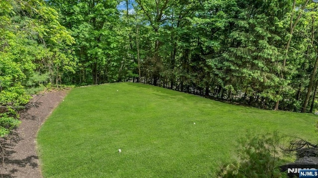 1582 Grnwd Lk, West Milford, NJ 07421 - view of green lawn featuring a view of trees