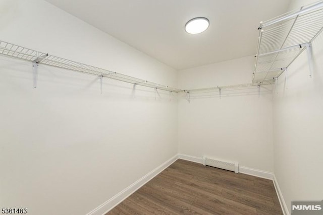 5 Britton St, Netcong Borough, NJ 07857 - walk in closet with wood finished floors