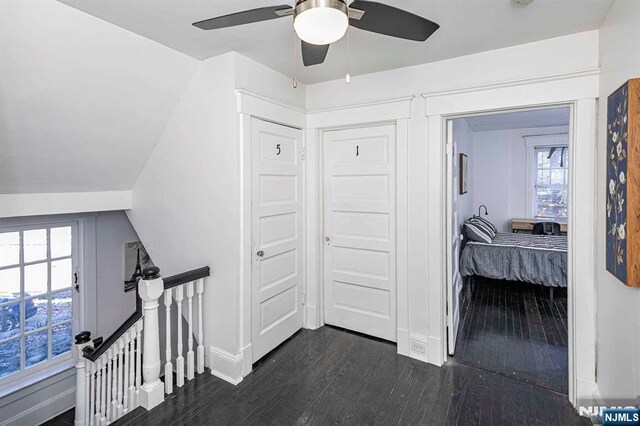 10 Whittier Ave, Trenton, NJ 08618 - corridor with an upstairs landing, dark wood-style flooring, baseboards, and plenty of natural light