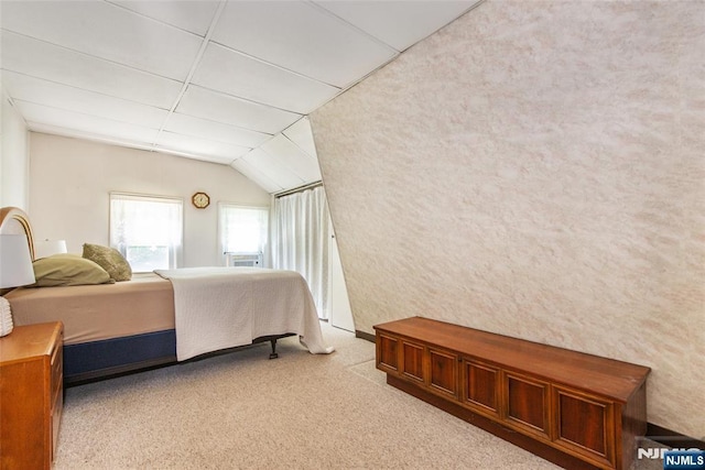 41 Gillies St, Clifton, NJ 07013 - bedroom with light carpet and vaulted ceiling