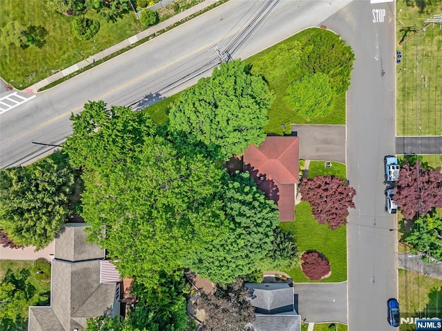 8 Delmar Ave, Cresskill, NJ 07626 - drone / aerial view