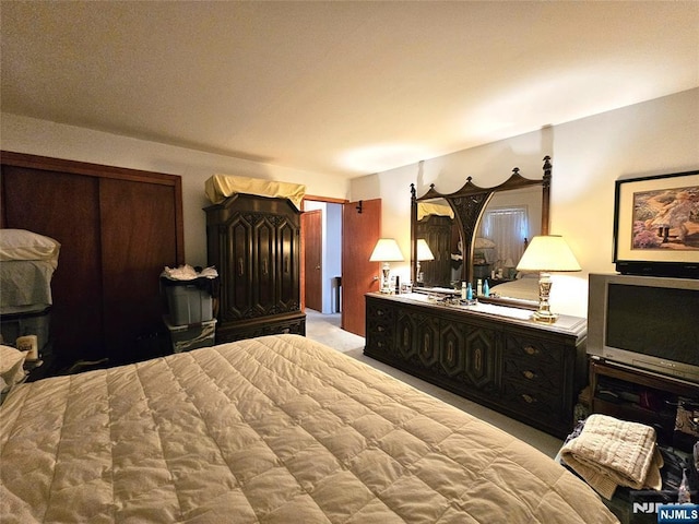 37 Pocohontas Path, Lincoln Park Borough, NJ 07035 - bedroom with light colored carpet