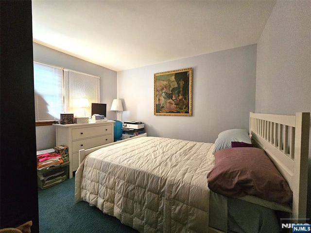 37 Pocohontas Path, Lincoln Park Borough, NJ 07035 - bedroom featuring carpet flooring