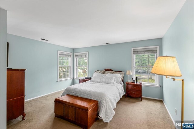 35 Spruce Ct Unit 116, Clifton, NJ 07014 - bedroom featuring carpet floors and baseboards