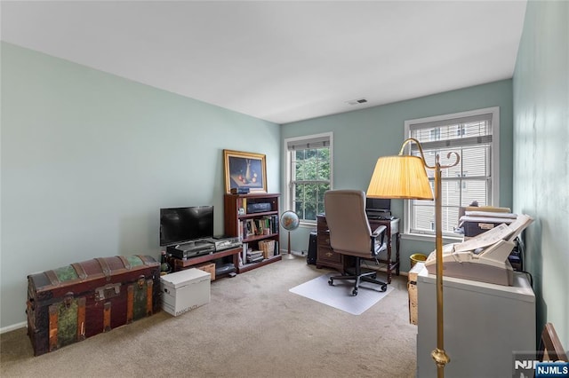 35 Spruce Ct Unit 116, Clifton, NJ 07014 - office with carpet flooring