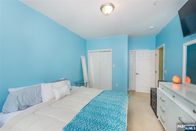 129 Eisenhower Ln Unit 2109, Wood Ridge, NJ 07075 - bedroom featuring light carpet and a closet