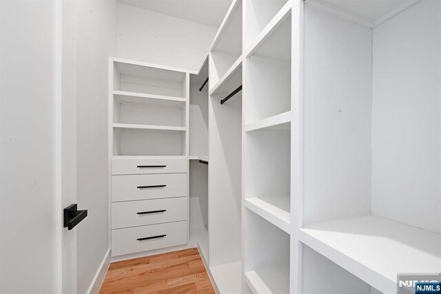 262 Webster Ave Unit 2, Jersey City, NJ 07307 - spacious closet with light wood-style flooring