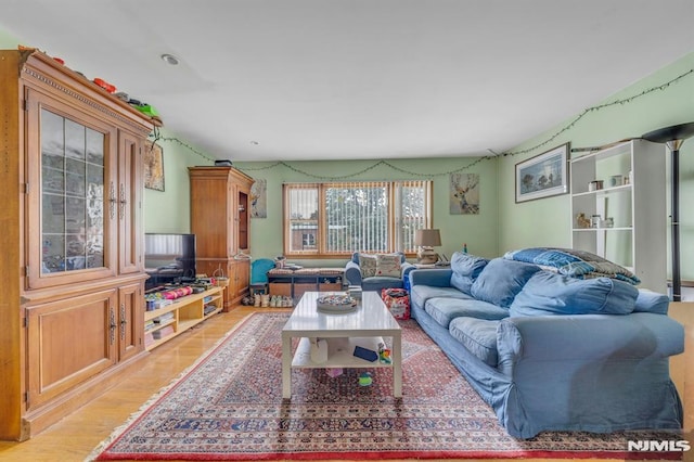 15 Jersey St, East Rutherford, NJ 07073 - living room featuring light wood-type flooring