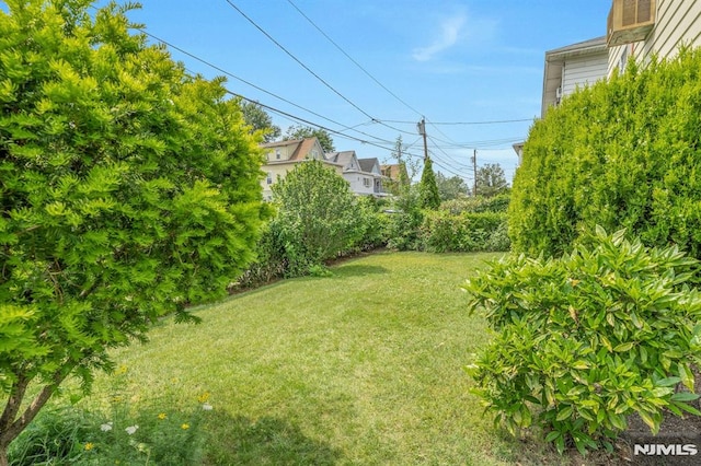 15 Jersey St, East Rutherford, NJ 07073 - view of green lawn