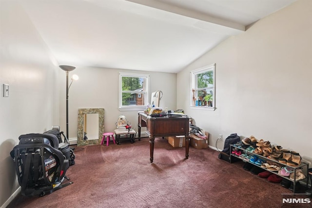4 Lenape Trl, Wayne, NJ 07470 - office space with carpet and baseboards